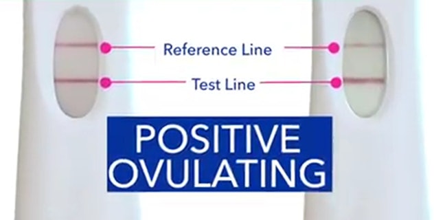Positive ovulation test photo 