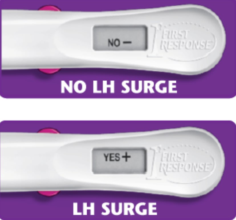 Ovulation test photos, positive and negative result 