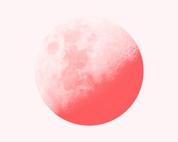 A pink moon. Cancer zodiac signs are ruled by the moon. Cancer's ruling planet is the moon.