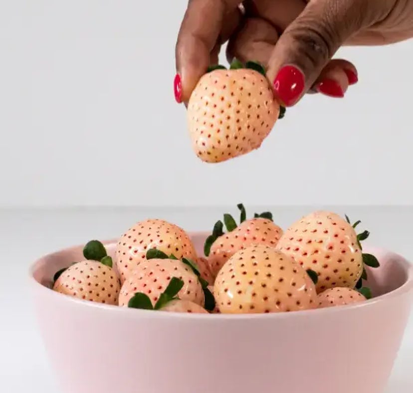 Here's what you need to know about where to buy pineberries to join the white strawberry trend.