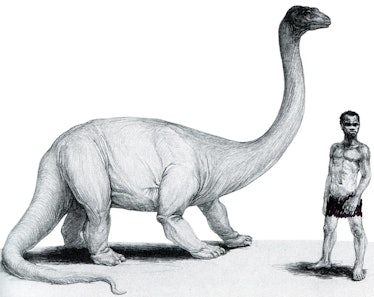 Thought this article articulates the Mokele Mbembe as a Colonial invention  really well. : r/Cryptozoology