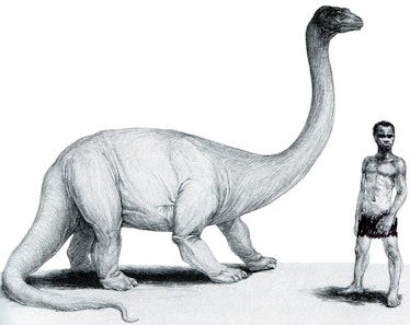 Mokele-Mbembe, pictured next to a person for scale.