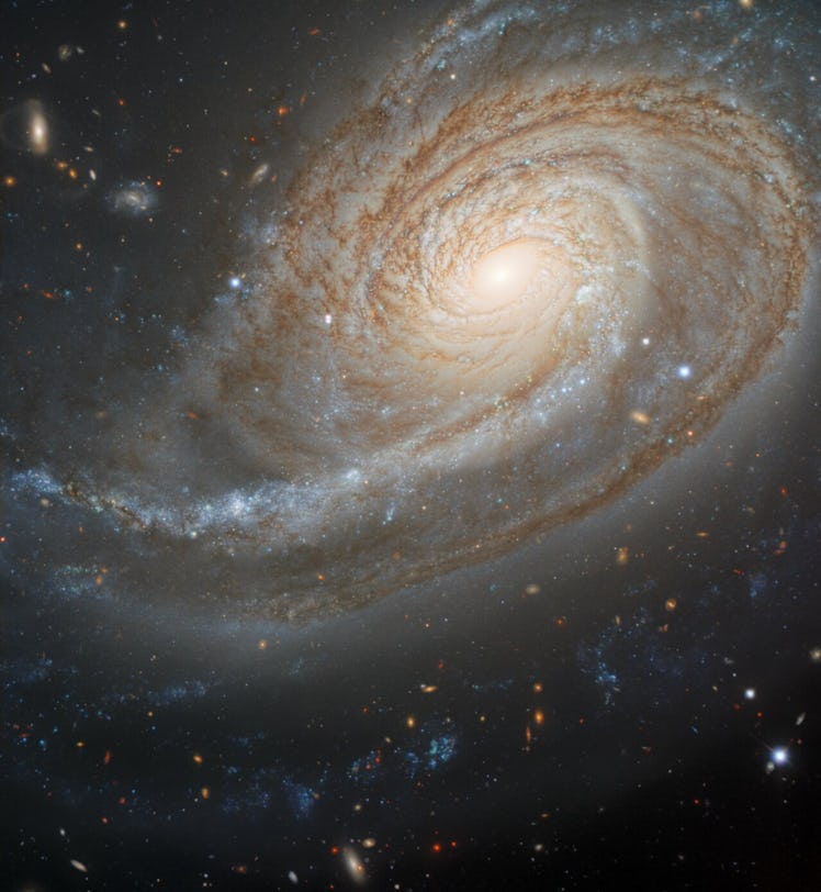 This image of a spiral galaxy shows its overdeveloped arm stretching out to the left side of the ima...