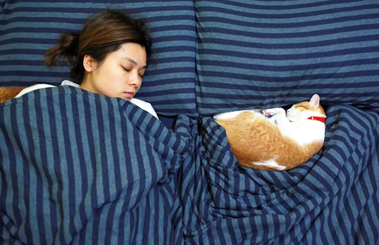 Woman sleeping in bed beside cat