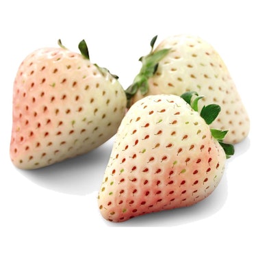 Here's where to buy pineberries to join the white strawberry trend.