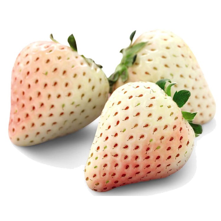 Here's what you need to know about where to buy pineberries.