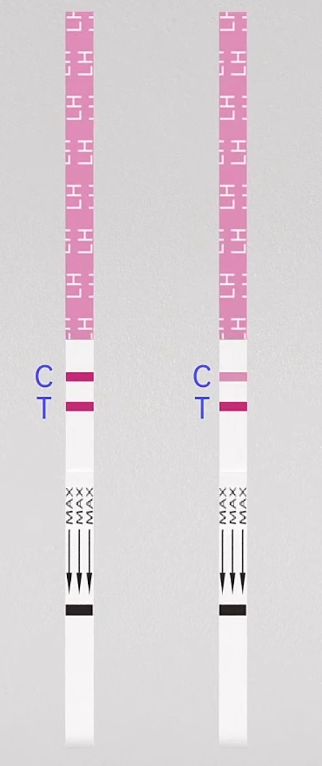 MomMed ovulation test photo 