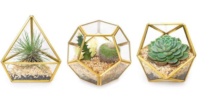 Mkono Glass Geometric Terrariums (Set of 3)