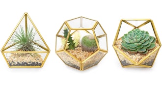 Mkono Glass Geometric Terrariums (Set of 3)