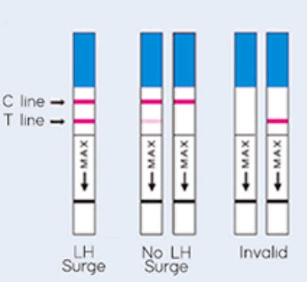 Positive Wondfo ovulation test photo