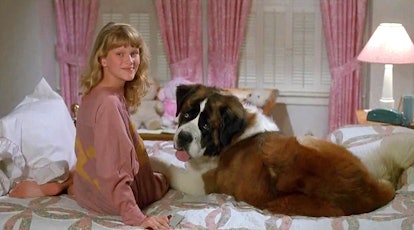'Beethoven,' a beloved '90s family movie, focus on the antics of a mischievous St. Bernard. 