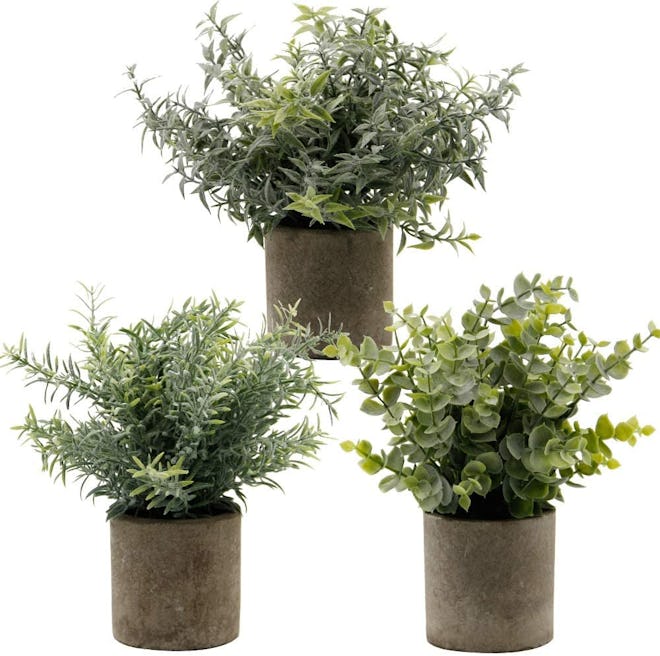 Zcaukya Small Potted Artificial Plants (3-Pack)