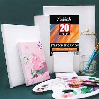 ESRICH Stretched Canvases (20-Pack)