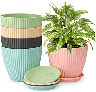 Generic Planter Pots with Drain Holes and Saucers (5-Pack)