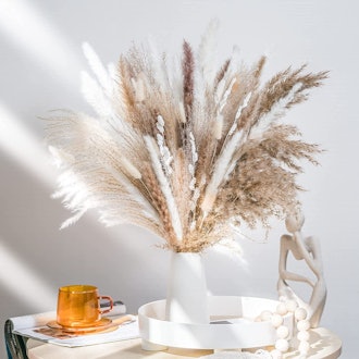 WILD AUTUMN Natural Dried Pampas