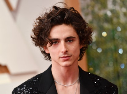 Timothee Chalamet went shirtless on the 2022 Oscars red carpet.