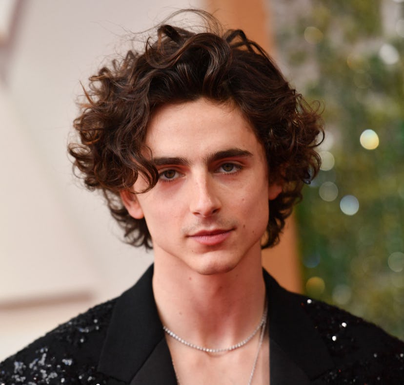 Timothee Chalamet went shirtless on the 2022 Oscars red carpet.
