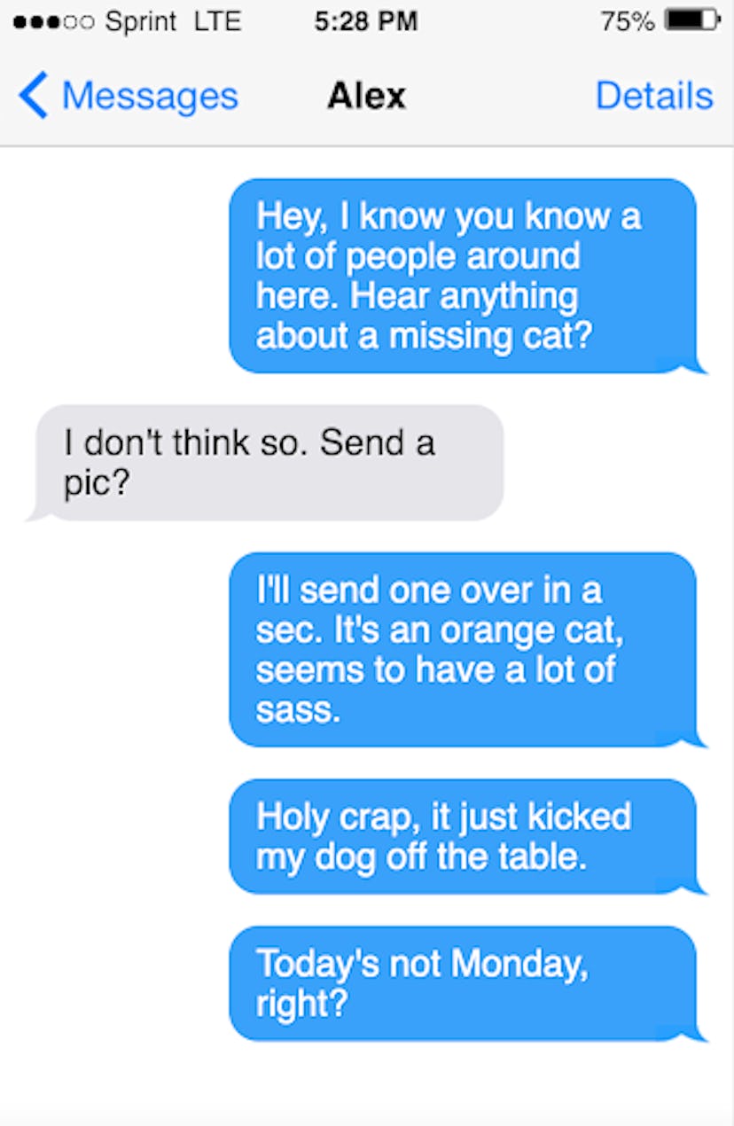 Funny April Fools' Day prank text: pretend Garfield is a missing cat