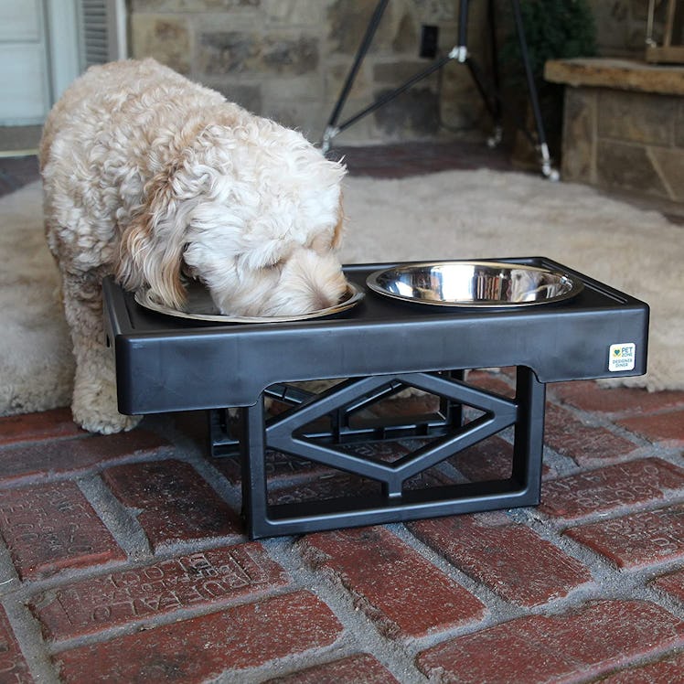 Pet Zone Designer Diner Adjustable Elevated Dog Bowls
