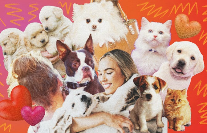 A girl being surrounded by many different breeds of dogs, holding a few in her arms.