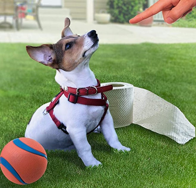 SavvyGrow Artificial Grass For Dogs