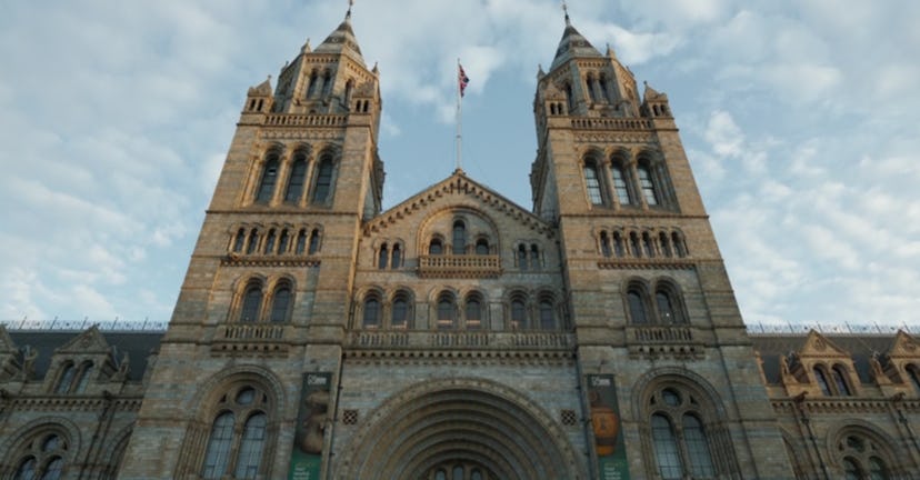 'Eternals' and 'Moon Knight' both begin in British museums. Screenshot via Disney+