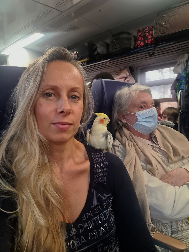 Olena Morozova, evacuation train from Lviv to Helm.