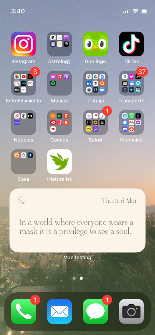 Screenshot of an iPhone homescreen with the manifesting app widget installed.