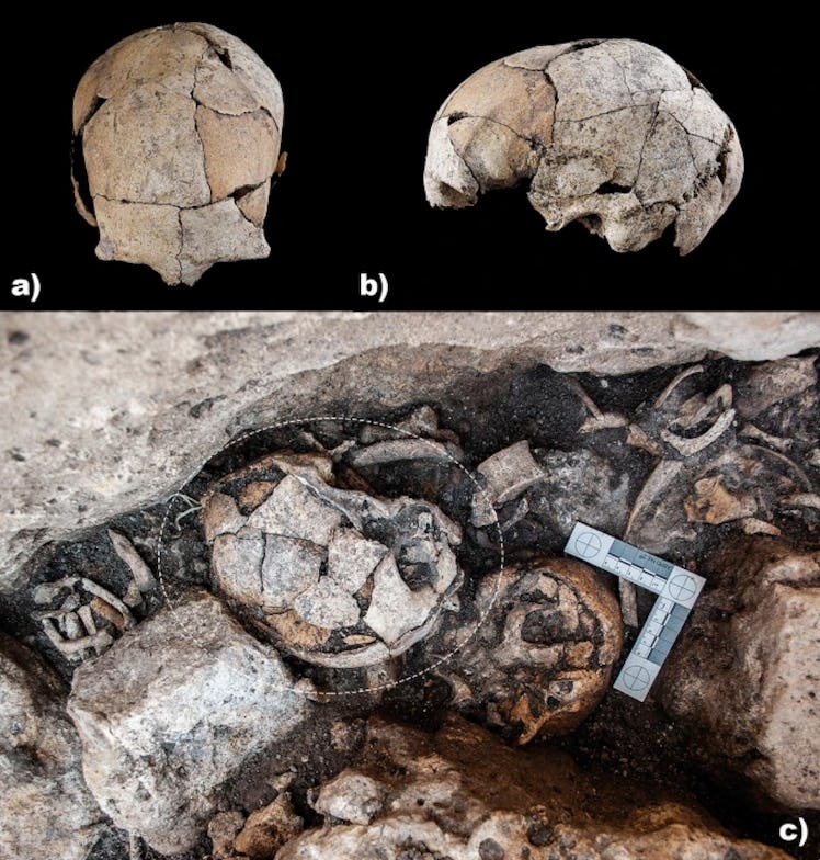 An image from the study shows the skull.