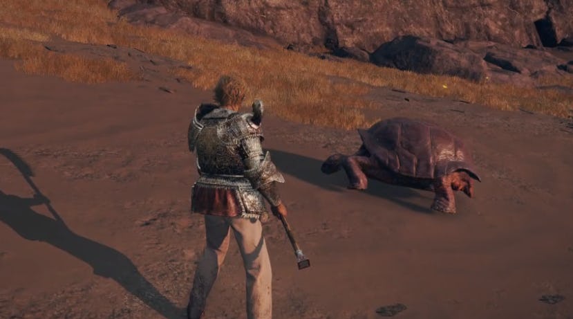 'Elden Ring' memes How goofy ingame messages can help save your life