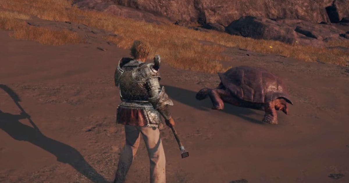 'Elden Ring' memes How goofy ingame messages can help save your life