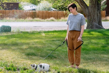 Teen walking cat on leash