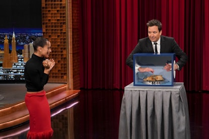 THE TONIGHT SHOW STARRING JIMMY FALLON -- Episode 1606 -- Pictured: (l-r) Actress Zoë Kravitz and ho...