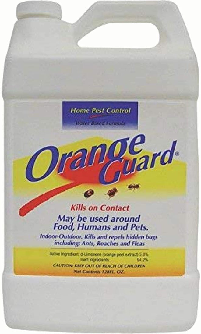    Orange Guard 101 Home Pest Control Gallon