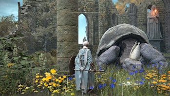 elden ring giant dog turtle miriel