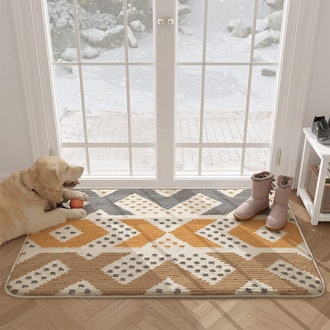 Color&Geometry Waterproof Entryway Rug