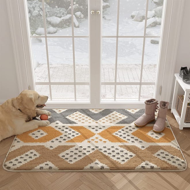 Color&Geometry Waterproof Entryway Rug