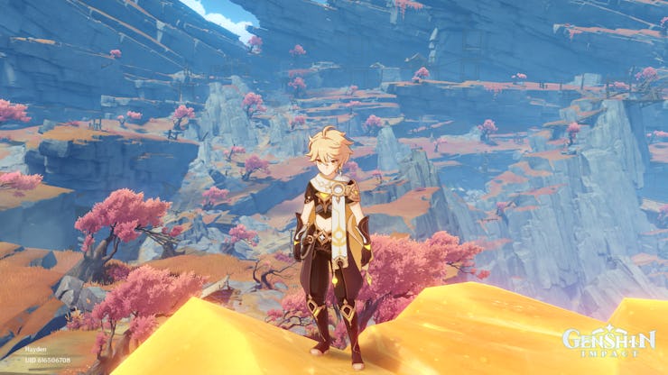 Genshin Impact Chasm guide