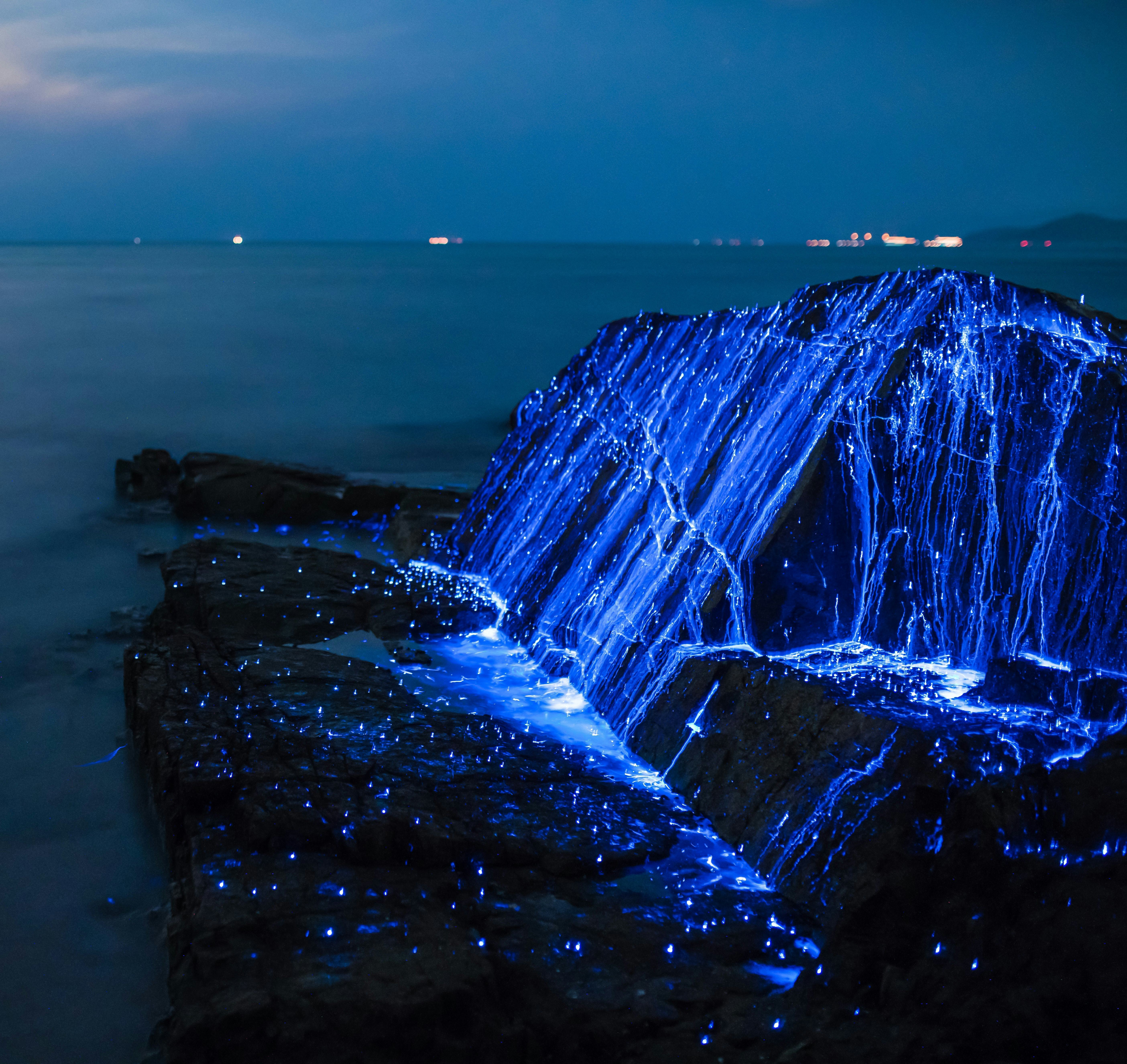 The top bioluminescent beaches are lit up by plankton and algae.