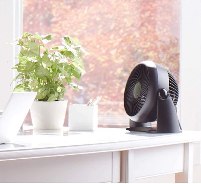 Honeywell HT-900 TurboForce Air Circulator Fan