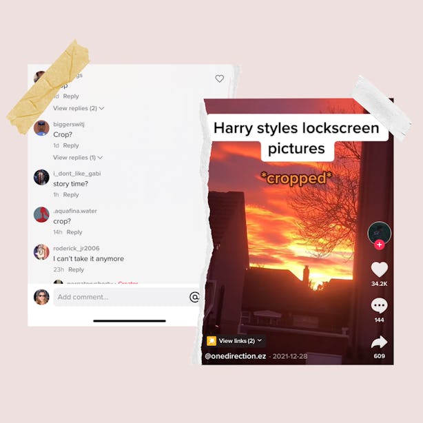 What Does "Crop" Mean On TikTok? It All Started With Fan Cams