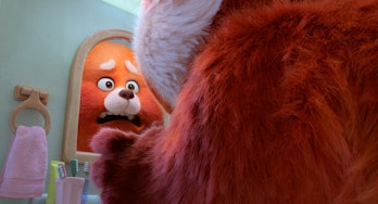 In Turning Red, Mei Lee wakes up one morning to discover she turned into a red panda. 