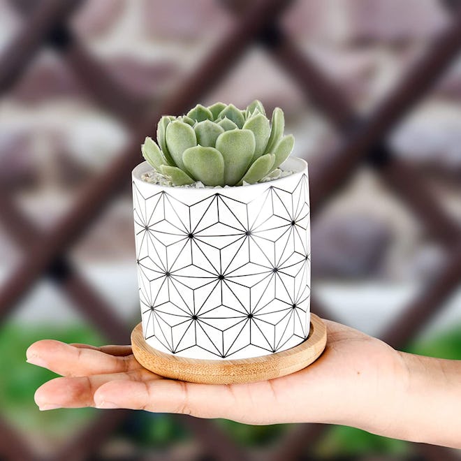 ZOUTOG Succulent Pots (6-Pack)