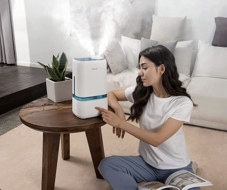 LEVOIT Humidifier