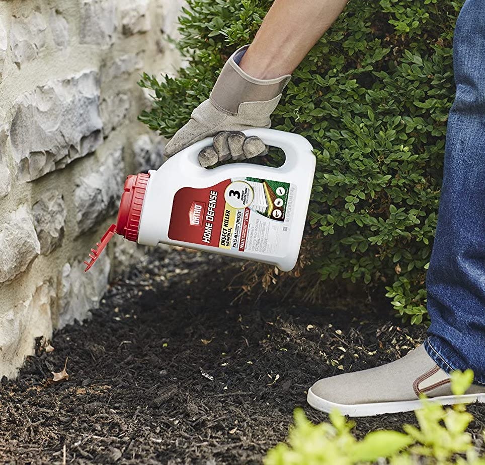 The 8 Best Ant Killers For Lawns