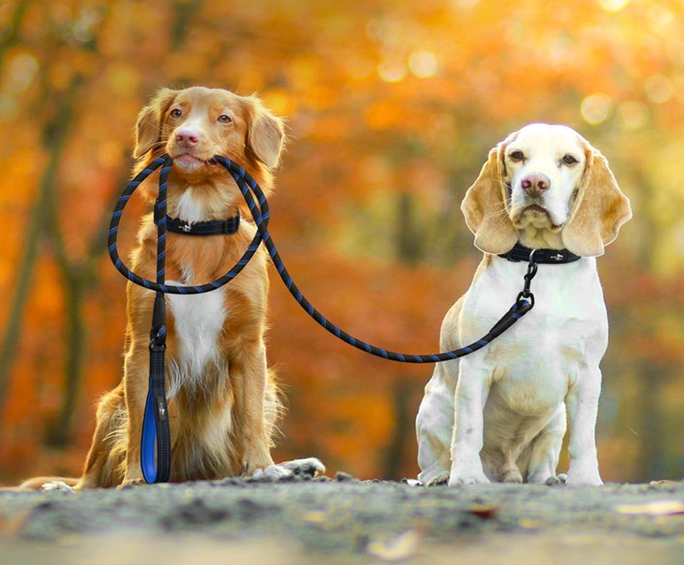 ACTIVE PETS Strong Dog Rope Leash