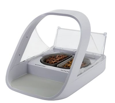 Baby Proof Dog Bowls Pet Feeding Habits To Keep Baby Safe