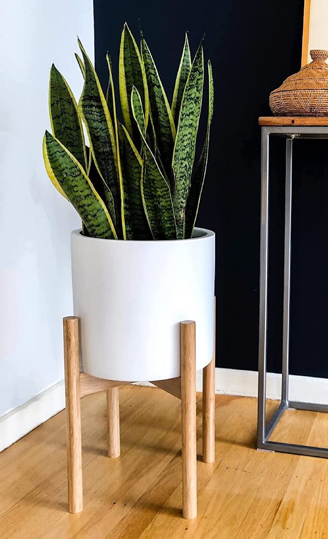 STNDRD. Bamboo Indoor Plant Stand 