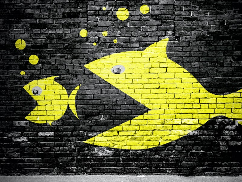 consolidation graphic yellow cartoon fish