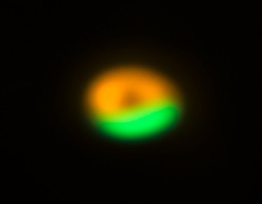 an orange and green ring on a black background, representing a planet forming region